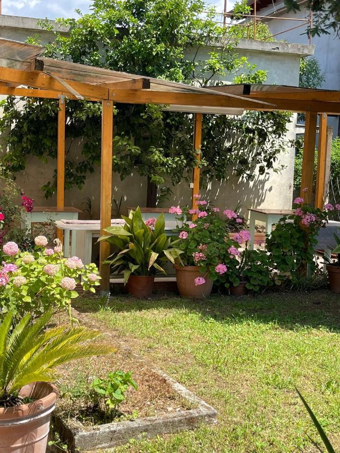 Casa Violetta Bed & Breakfast Марина ди Маса Екстериор снимка